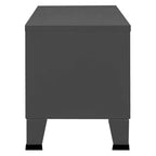 Meuble TV, console TV, buffet TV, meuble multimédia, placard métallique - 41,3 x 13,8 x 16,5