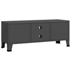 Meuble TV, console TV, buffet TV, meuble multimédia, placard métallique - 41,3 x 13,8 x 16,5