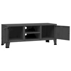 Meuble TV, console TV, buffet TV, meuble multimédia, placard métallique - 41,3 x 13,8 x 16,5